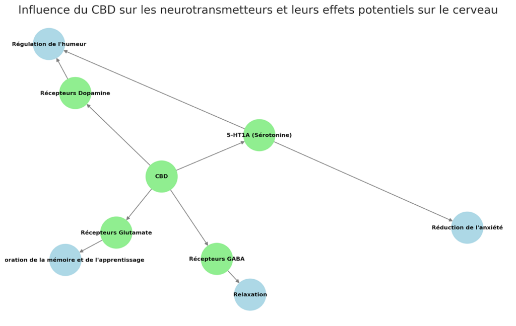 Schéma illustrant l'impact potentiel du CBD sur les neurotransmetteurs, mettant en évidence ses interactions avec le système nerveux