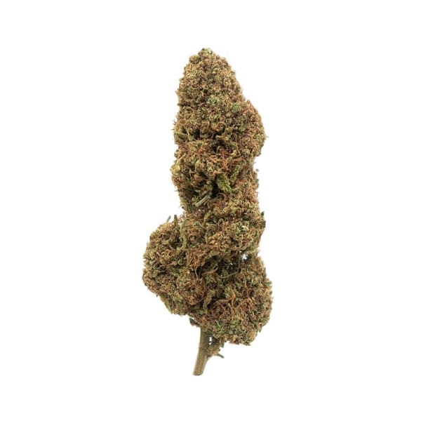 ecann Mango Skunk CBD Flower Indoor 1