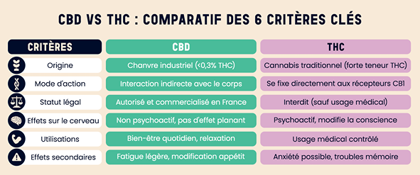 Tableau comparatif CBD vs THC : 6 différences clés entre cannabidiol et tétrahydrocannabinol incluant origine, effets, légalité