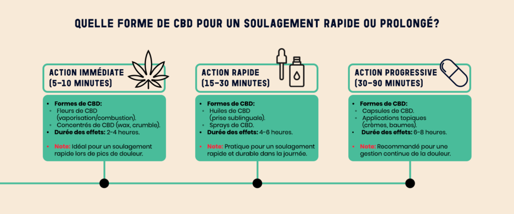 formes cbd rapide prolonge soulagement