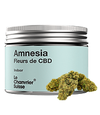 le chanvrier suisse amnesia indoor uweed shop 1