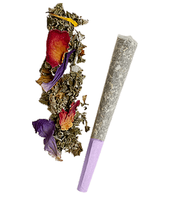 equilibre harmony joint cbd outdoor uweed shop 1