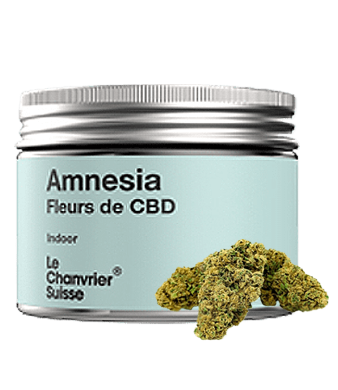 le chanvrier suisse amnesia indoor uweed shop 1