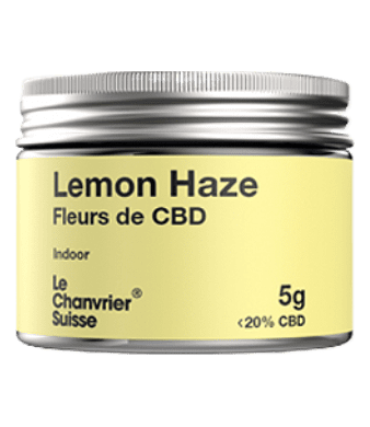 le chanvrier suisse lemon haze indoor uweed shop 1