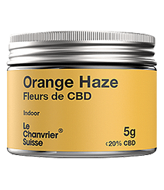 le chanvrier suisse orange haze indoor uweed shop 1