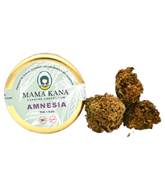 mama kana amnesia indoor uweed shop 1